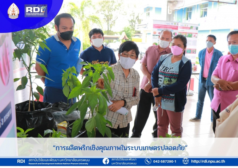  งานบริการวิชาการและงานคลินิกเทคโนโลยี มหาวิทยาลัยนครพนม ร่วมกับ สถาบันการจัดการเทคโนโลยีและนวัตกรรมเกษตร (สท.)
ภายใต้สำนักงานพัฒนาวิทยาศาสตร์และเทคโนโลยีแห่งชาติ (สวทช.)
จัดอบรมเชิงปฏิบัติการหลักสูตร “การผลิตพริกเชิงคุณภาพในระบบเกษตรปลอดภัย” 