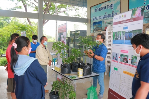 ภาพกิจกรรม