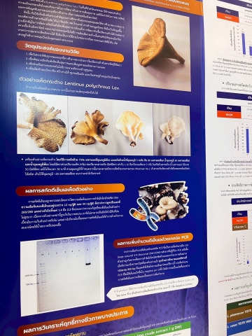 ภาพกิจกรรม