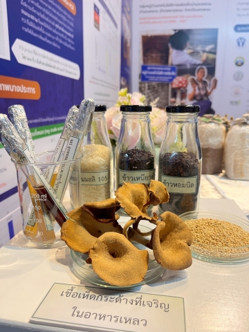 ภาพกิจกรรม