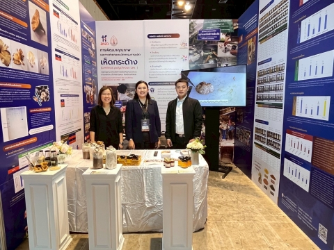 ภาพกิจกรรม