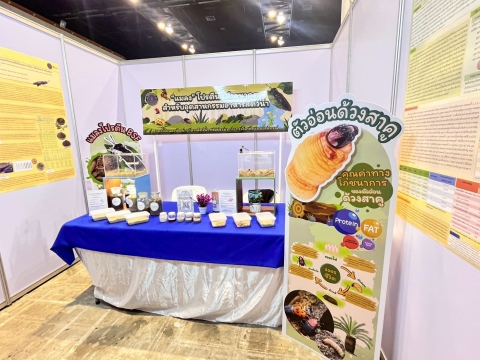 ภาพกิจกรรม