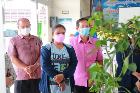 ภาพกิจกรรม
