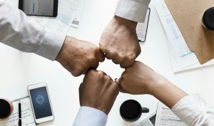 mohamed hassan teamwork 3309829