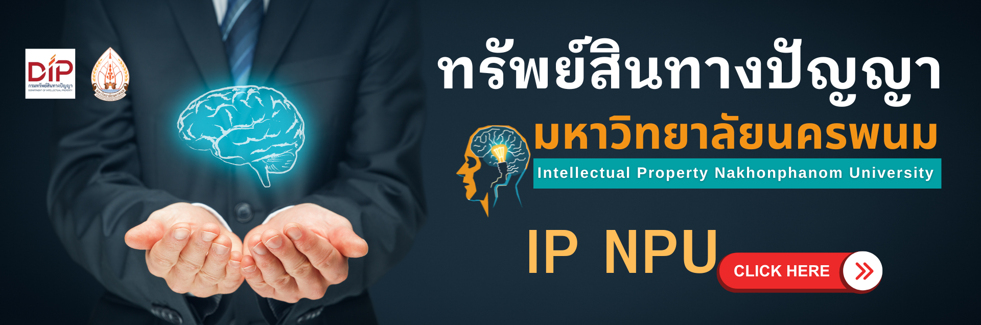 Banner Website 1920 X 636 Px