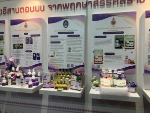 ศูนย์ประสานงาน อพ.สธ. มหาวิทยาลัยนครพนม ร่วมจัดแสดงนิทรรศการและรับเสด็จฯ กรมสมเด็จพระเทพรัตนราชสุดาฯ ในงานประชุมวิชาการและนิทรรศการสวนพฤกษศาสตร์โรงเรียนฯ ระดับภูมิภาค ครั้งที่ 9 line album 121069 261012 24