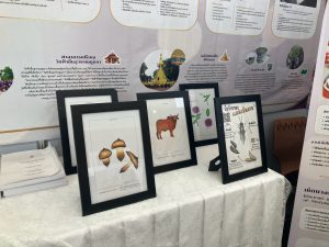ศูนย์ประสานงาน อพ.สธ. มหาวิทยาลัยนครพนม ร่วมจัดแสดงนิทรรศการและรับเสด็จฯ กรมสมเด็จพระเทพรัตนราชสุดาฯ ในงานประชุมวิชาการและนิทรรศการสวนพฤกษศาสตร์โรงเรียนฯ ระดับภูมิภาค ครั้งที่ 9 line album 121069 261012 89